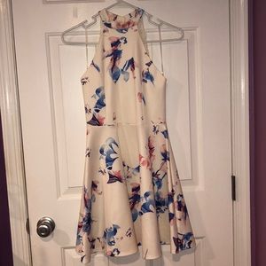 Flowery Blue Blush skater dress